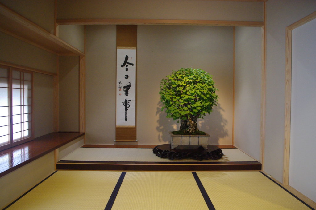 An example of bonsai on display: In a tokonoma (decorative alcove) with a hanging scroll. 