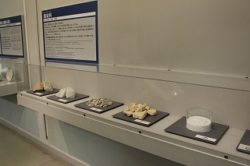 A display of raw materials for porcelains