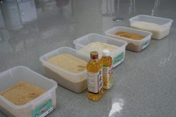 Samples of cooked Kinmemai rice