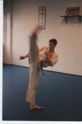 Pettas is practicing karate at the Denmark dojo.