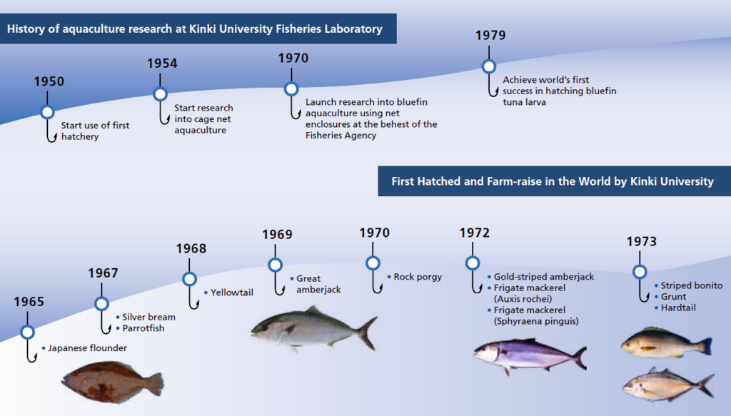 History of aquaculture research at Kinki University Fisheries Laboratory