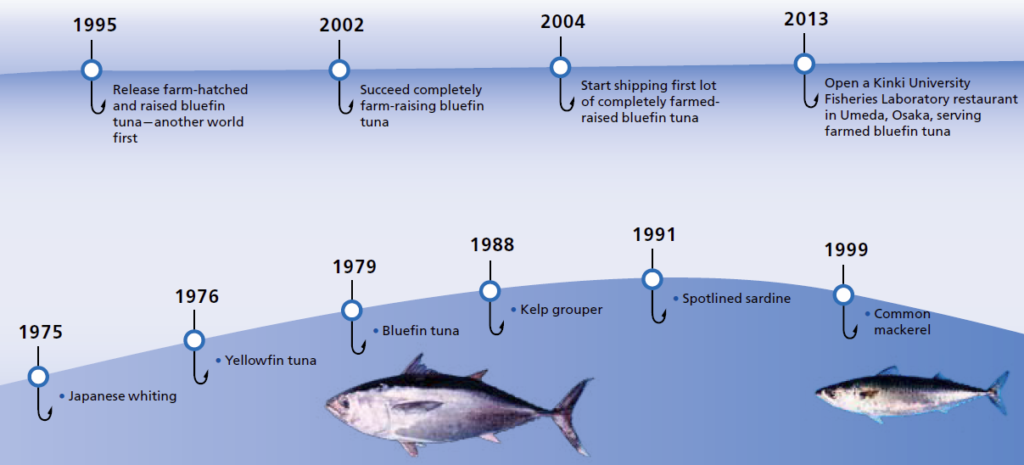 History of aquaculture research at Kinki University Fisheries Laboratory-2
