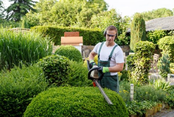 The world of landscaping and gardening is a male-dominated society.