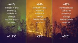 平均気温が２度上昇すると地中海の夏の平均的な山火事による焼失面積が62％増加